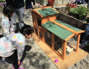 Easter Celebration – Kids enjoyed the chicken coupe with live chicks